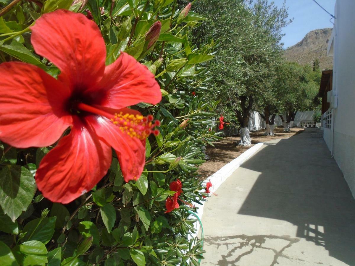 אלינדה Leros Eleonas Apartments מראה חיצוני תמונה